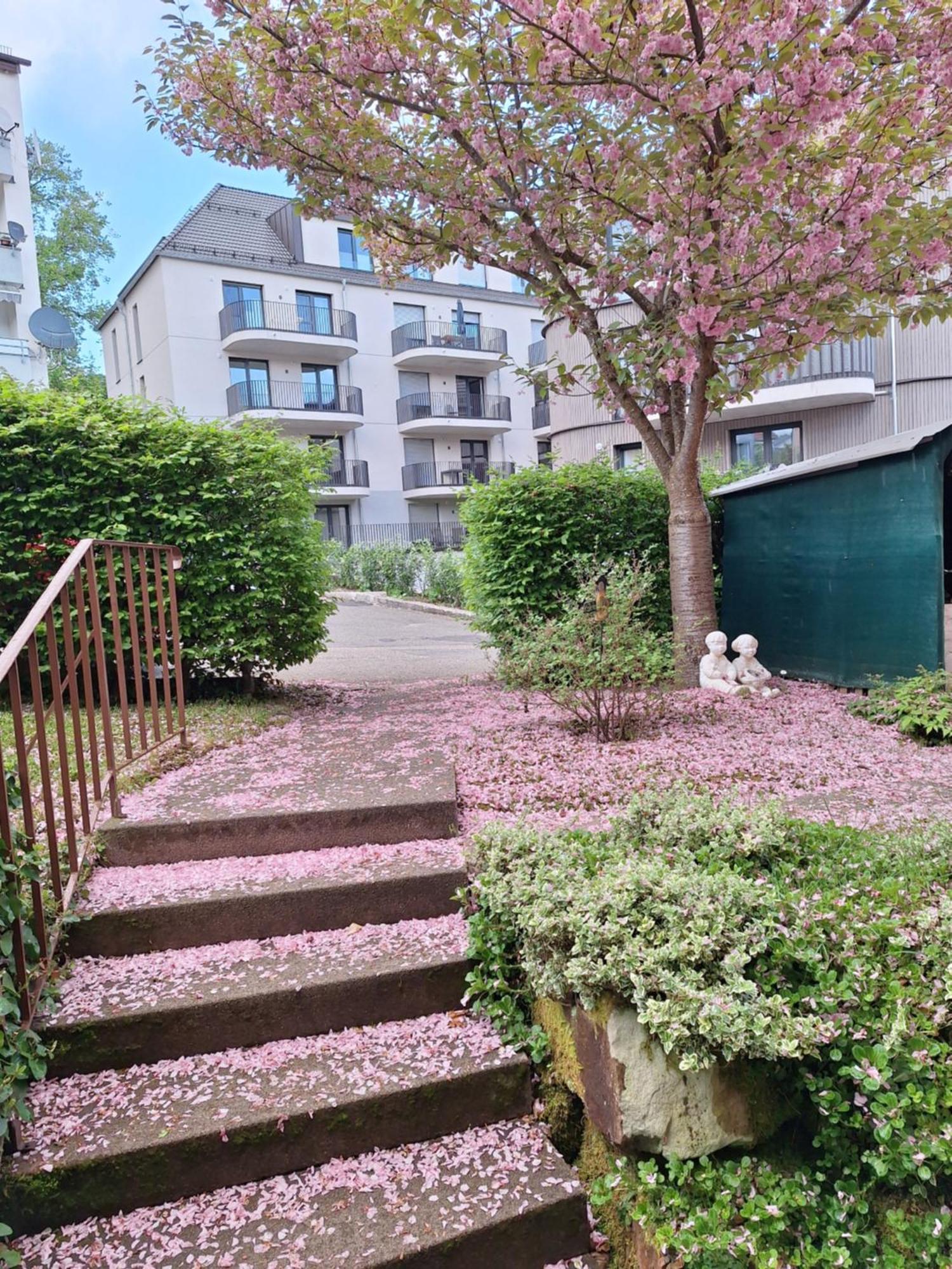 Haus Mila Appartement Freudenstadt Buitenkant foto